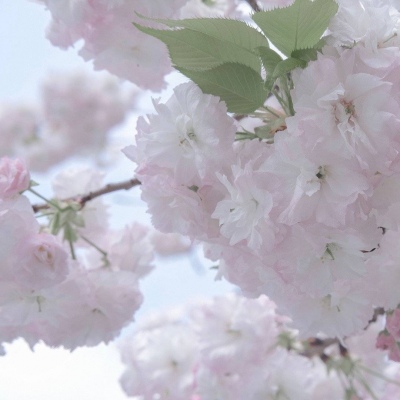 北流FurryQQ群介绍